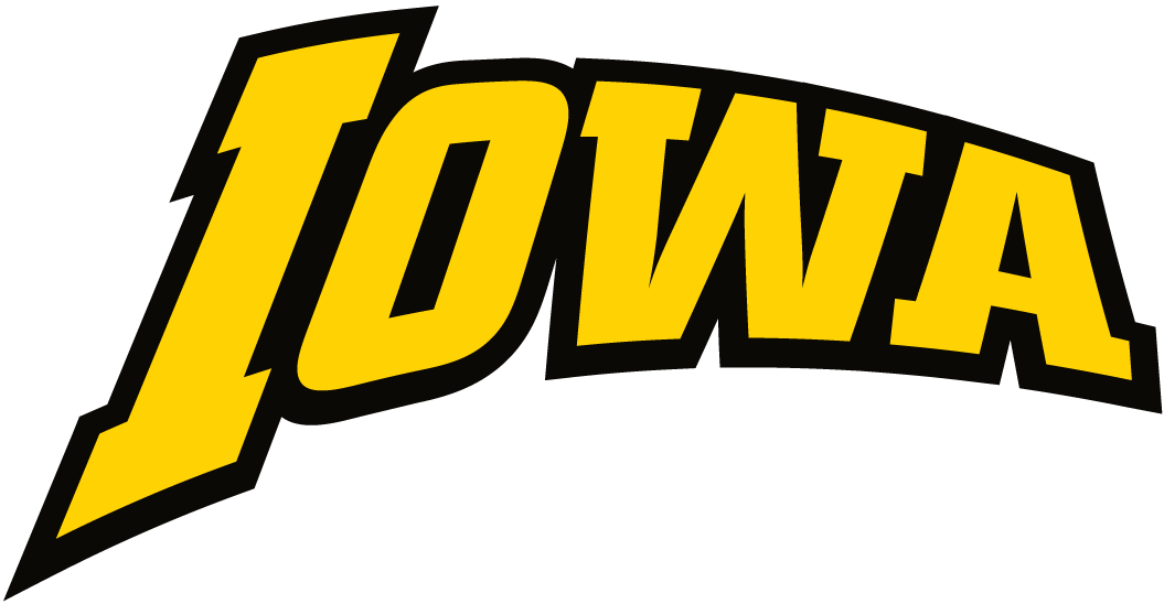 Iowa Hawkeyes 2002-Pres Wordmark Logo t shirts DIY iron ons v2